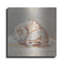 Luxe Métal Art «Impressionist Shell Study II» par E «Impressionist Shell Study II» par Ethan Harper
