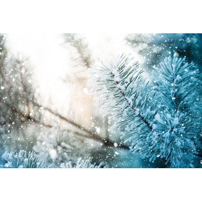 Winter Scene by Andrey Danilovich - Wrapped Canvas Print