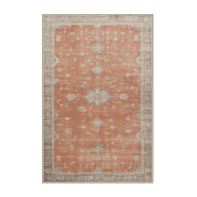 Machine Washable Overdyed Brown Area Rug