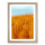 Wheatfield in Germany - Picture Frame Painting Print-56738917-56738920