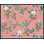 Pink Magnolias Print by Paule Marrot