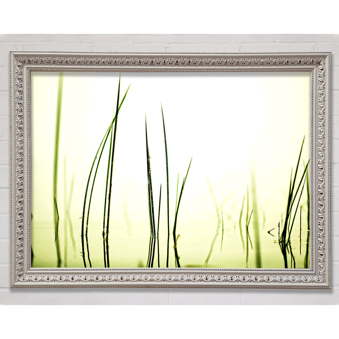 Kunstdruck Water Grass