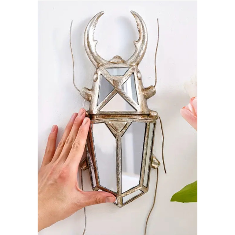 Mur de galerie Pincher Bug Beetle
