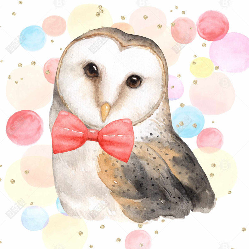 «Chic Owl»