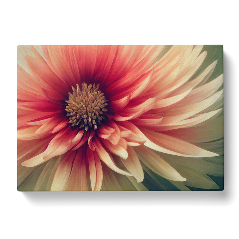 Cosmopolitan Chrysanthemum Flower - Wrapped Canvas, 35cm H x 50cm W x 3cm D