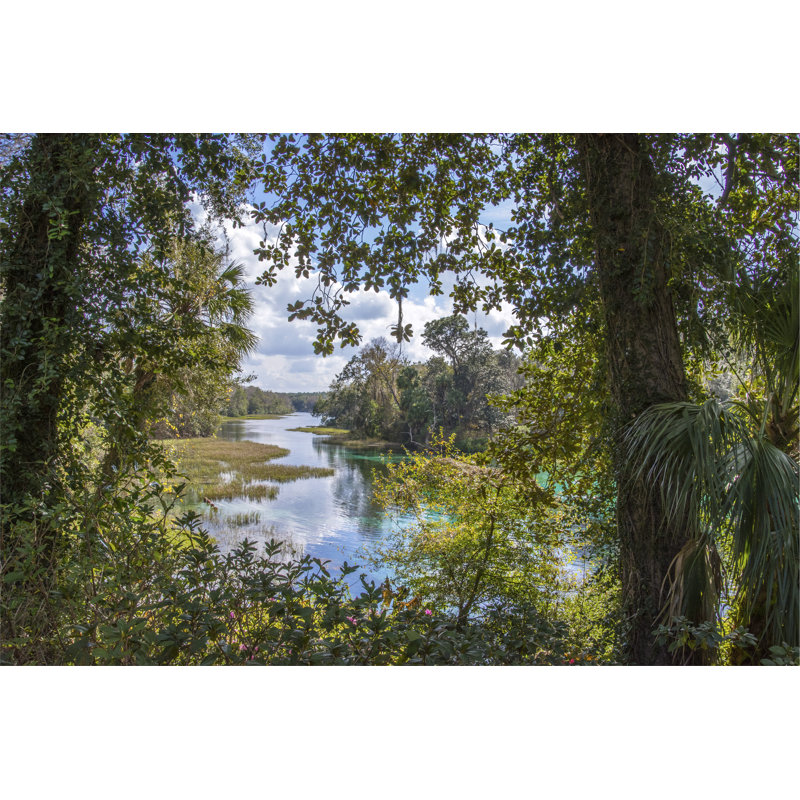 Florida Paradise - Wrapped Canvas Print, 61cm H x 91cm W x 3.8cm D