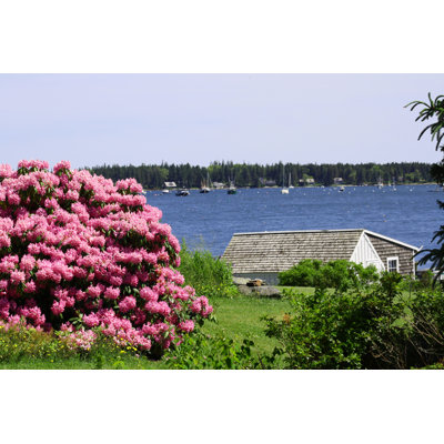 Cottage on the Maine Coast - Photographie sur toile tendue