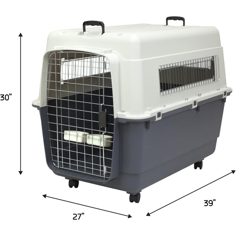 Caisse de voyage pour chien en plastique