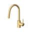 Concetto Single-Handle Pull-Down Kitchen Faucet Dual Spray 1.75 GPM