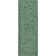 Abbiney Performance Shag Green Rug