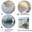 Minimal White Seashell Photography - Seashell Canvas Wall Art-1764381085-1764381087