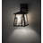 Rustic Lodge Solid Brass Armed Sconce