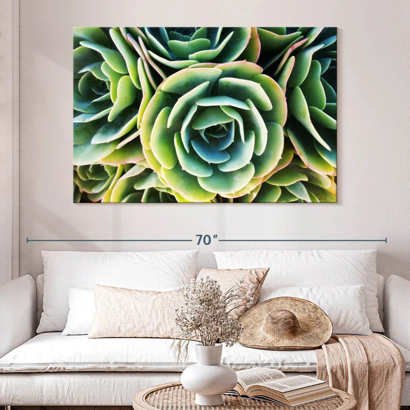 Rose succulente Harnek, H 34 po x l 51 po