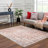 Shylyn Oriental Indoor Rug-285644499