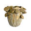 Vase réactif 12X12X11 "-156967584