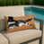 Toy Fox Terrier