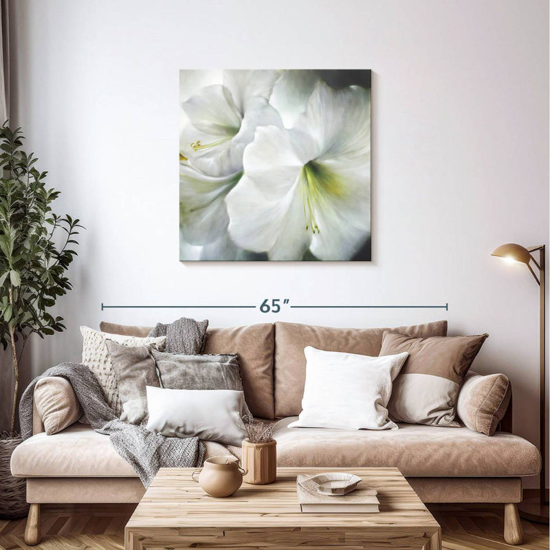 Amaryllis blanc II, H 36 po x l 36 po