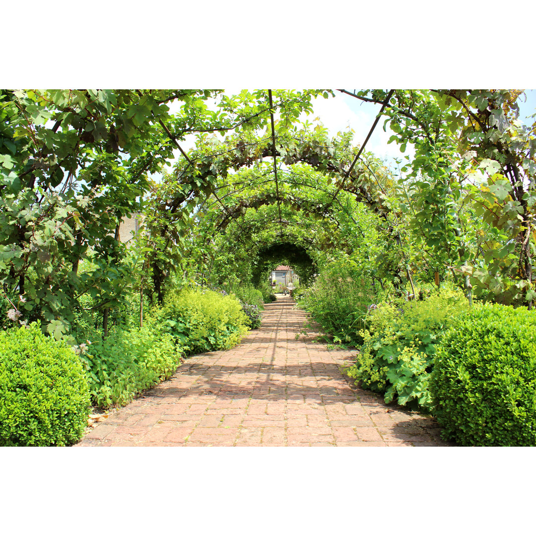 Metal Pergola Garden Archway Tunnel, Espalier Apple Trees, Grape Vines by Mtreasure - No Frame Print on Canvas