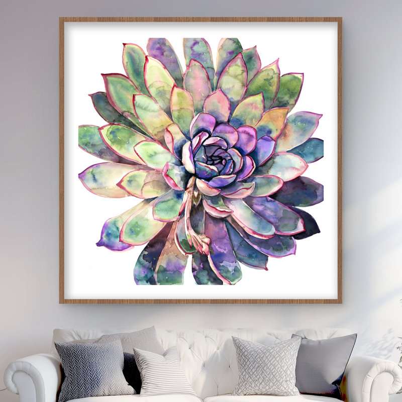 Multicolored Succulent - Framed Matted Botanical Print Decor
