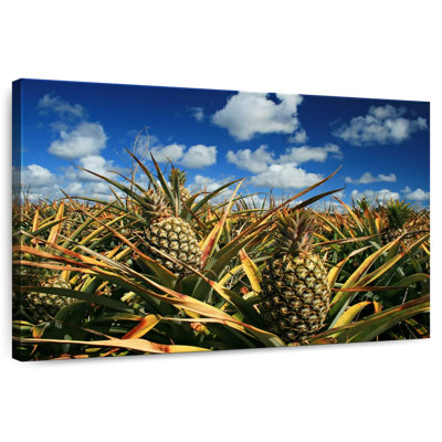 Ananas de Yarlin, Thaïlande