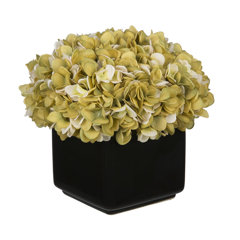 Arrangement réel d'hortensia dans un vase, Sauge/crème