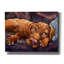 «Beauty Rest» par CR Townsend-1234468564