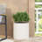 MGO PLANTER