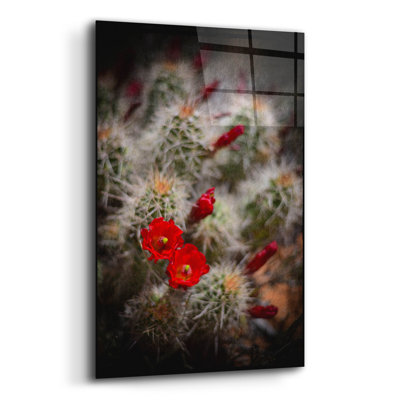 «Desert Flower 6» par Lightbox Journal