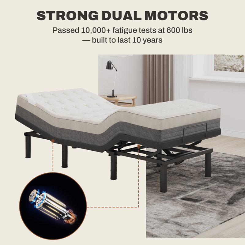 Boltz Zero Gravity Adjustable Bed Frame with Head & Foot Lift & Wired Remote, Twin XL