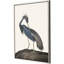 Impression sur toile encadrée «Great Heron II»