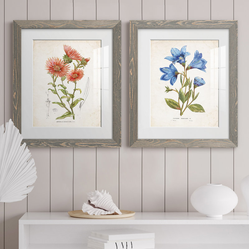 «Botanical I», ensemble de 2 reproductions d'art, Blanc, H 24 po x l 36 po x P 1,5 po, Cadre en papier gris