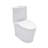 Ceramic One Piece Bathroom Toilet, 12-Inch Rough-In, 1.24/1.6 Dual Flush, Seat, 800G Map Skirted Design For Low Maintenance, Quick-Release Hinge, Structure Toilet With Pp Cleaner Look, Build-128882684