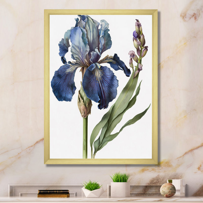 Iris bleu, illustration botanique sur toile, Cadre doré à une seule photo, H 32 po x l 16 po x P 1 po