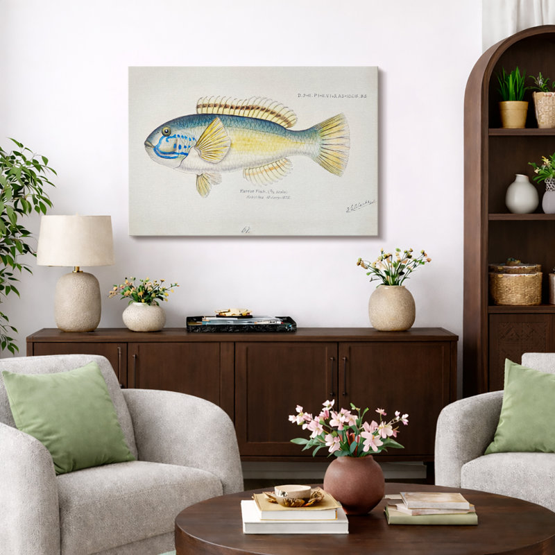 Art rétro de poisson perroquet scientifique, images de salle de bain, art mural impression sur toile encadrée., Toile tendue