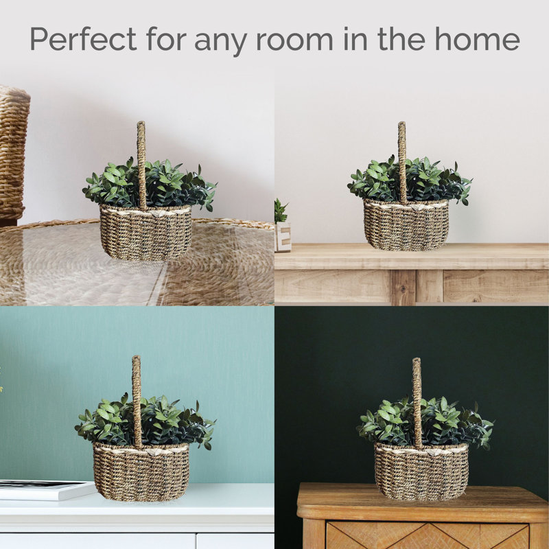 Elements 10" Artificial Seagrass in Basket