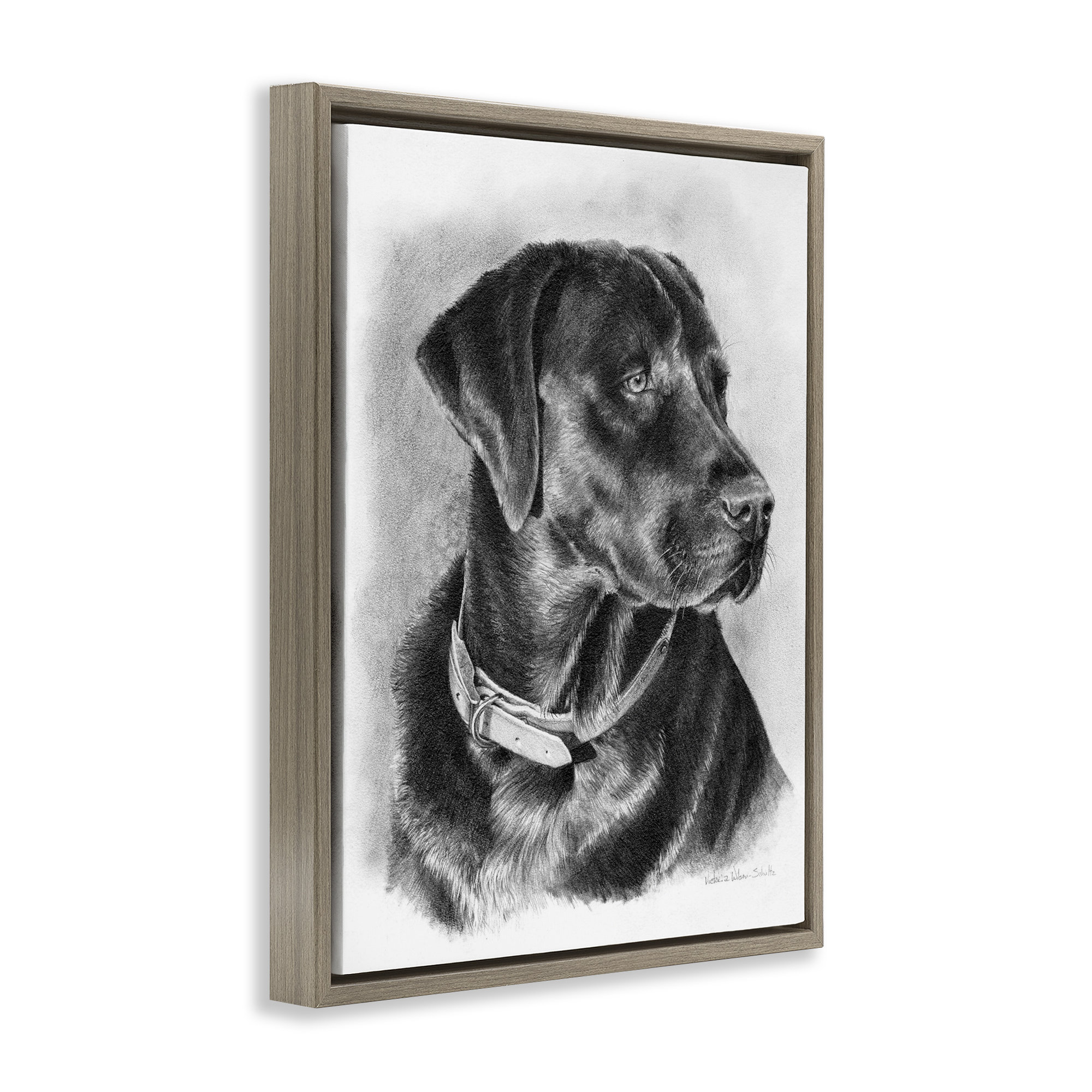 Lark Manor Black Lab Drawing Framed Floater Canvas Wall Art by Victoria
