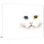 Portrait of Cute White Kitten - Reproduction d'art graphique sur toile tendue-19240016