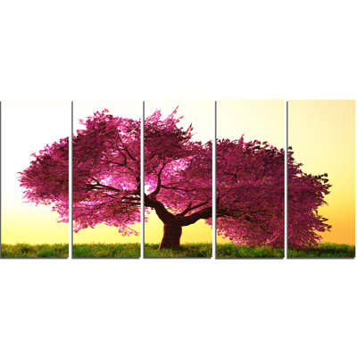 «Cherry Blossom in Beautiful Garden», ensemble de 5 reproductions de photos sur toiles tendues