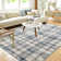 Machine Washable Rug Gingham Non-Slip Modern Rug for Living Room Bedroom Nursery Dining Table Stylish Carpet for Dorm and Bedside Decor
