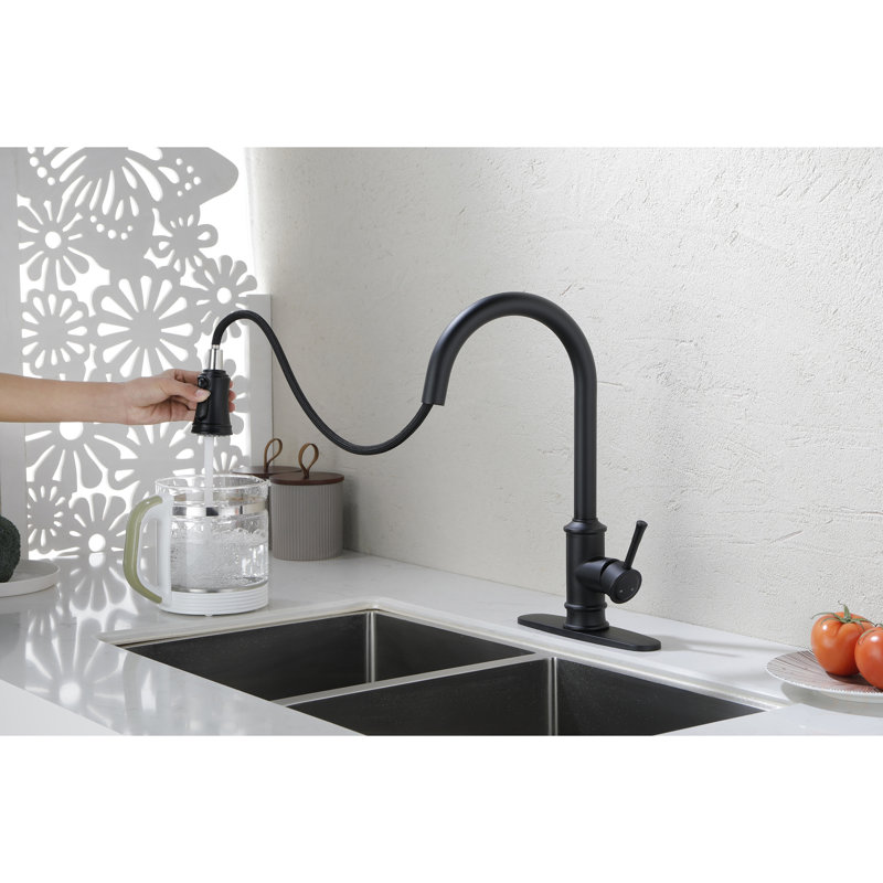 Kitchen Faucet With Pull Out Spraye