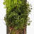 24'' Faux Plant