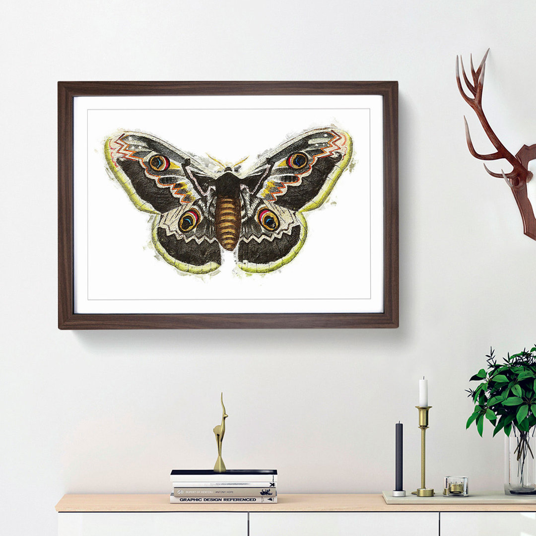 Great Peacock Moth by George Shaw - Picture Frame Painting Print