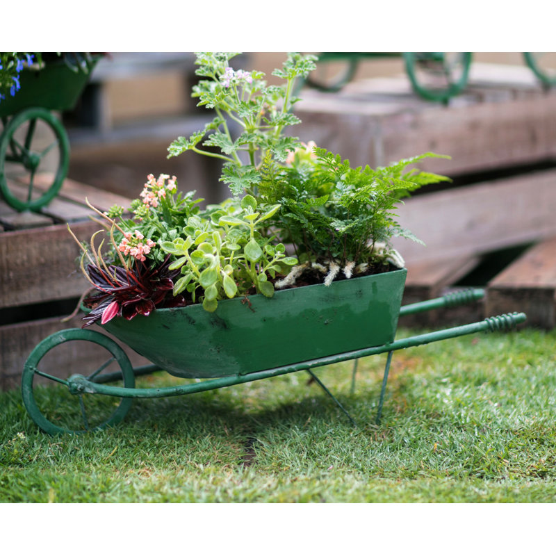 Pennebaker Metal Wheelbarrow Planter