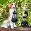  Statue de jardin Beagle avec lanterne solaire à DEL, statue de chien, décor animal en résine pour patio, pelouse et espaces extérieurs