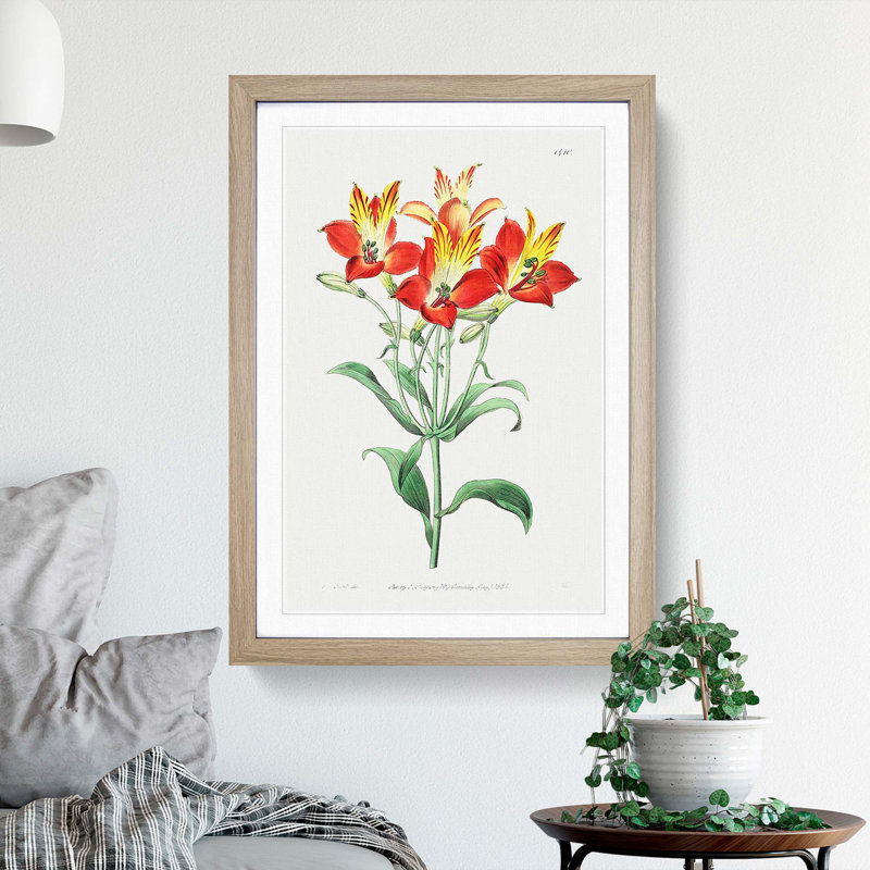 Red Peruvian Lily Flowers - Picture Frame Painting Print, 48cm H x 36cm W x 2cm D, Oak Framed