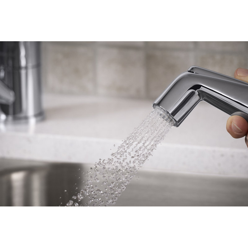 Valton Side Spray Kitchen Faucet