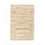 Idra Striped Area Rug in Ivory-1222047381