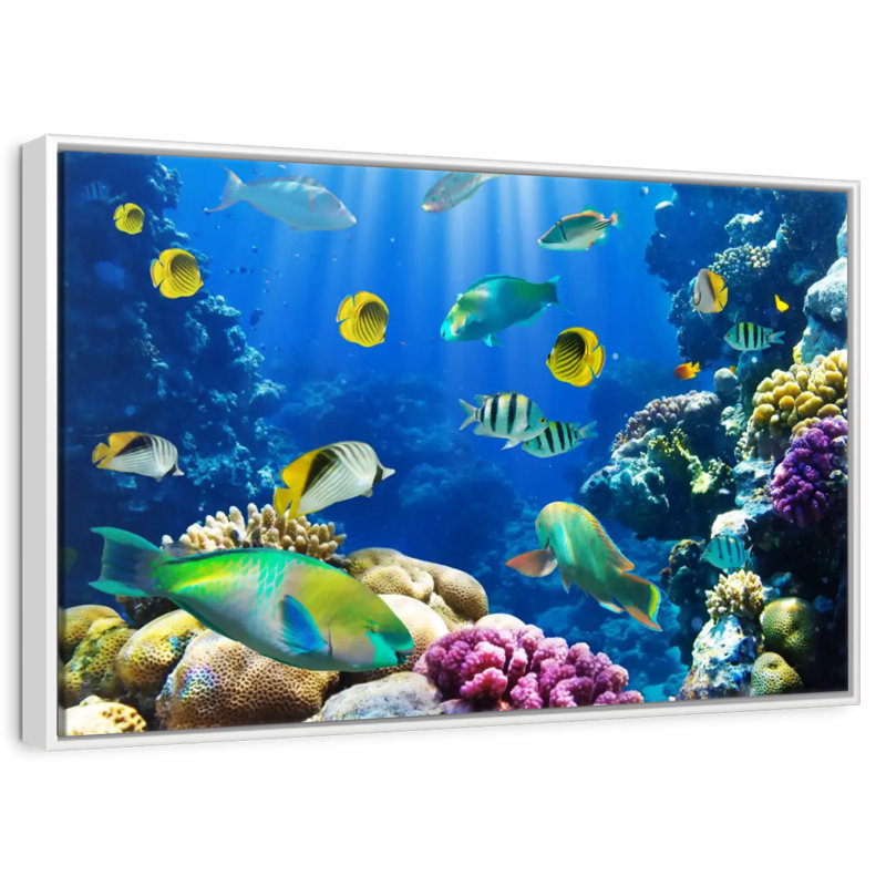 Underwater Sea Creatures, Floating Frame White, 25" X 17"