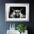 " Photography Study Highland Cattle "-845798269-845798019-845788058