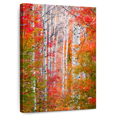 Alvord Autumn Passage